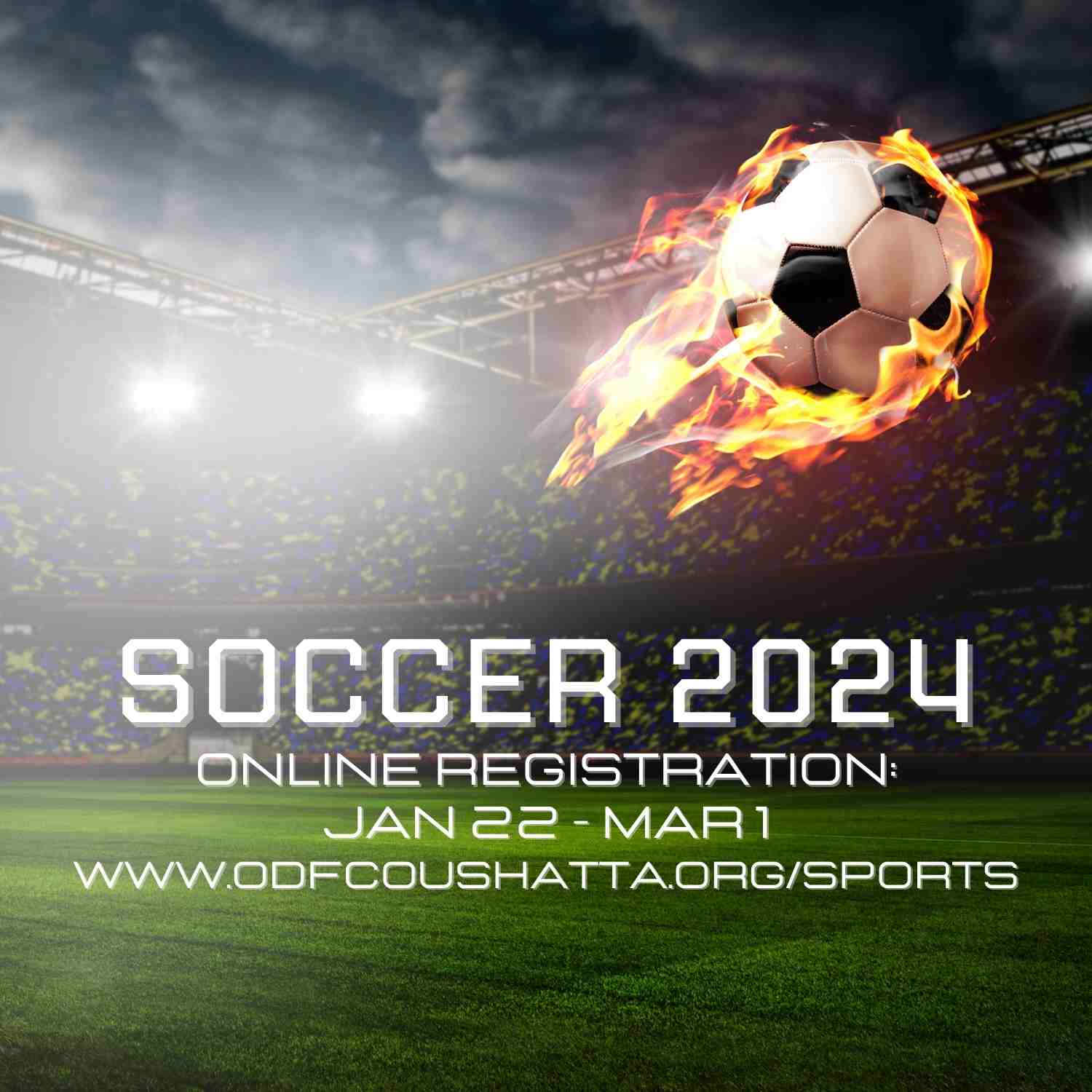 Soccer 2024   A37818c5 F4ec 4aff 82a6 Fe79f3eba6ed 